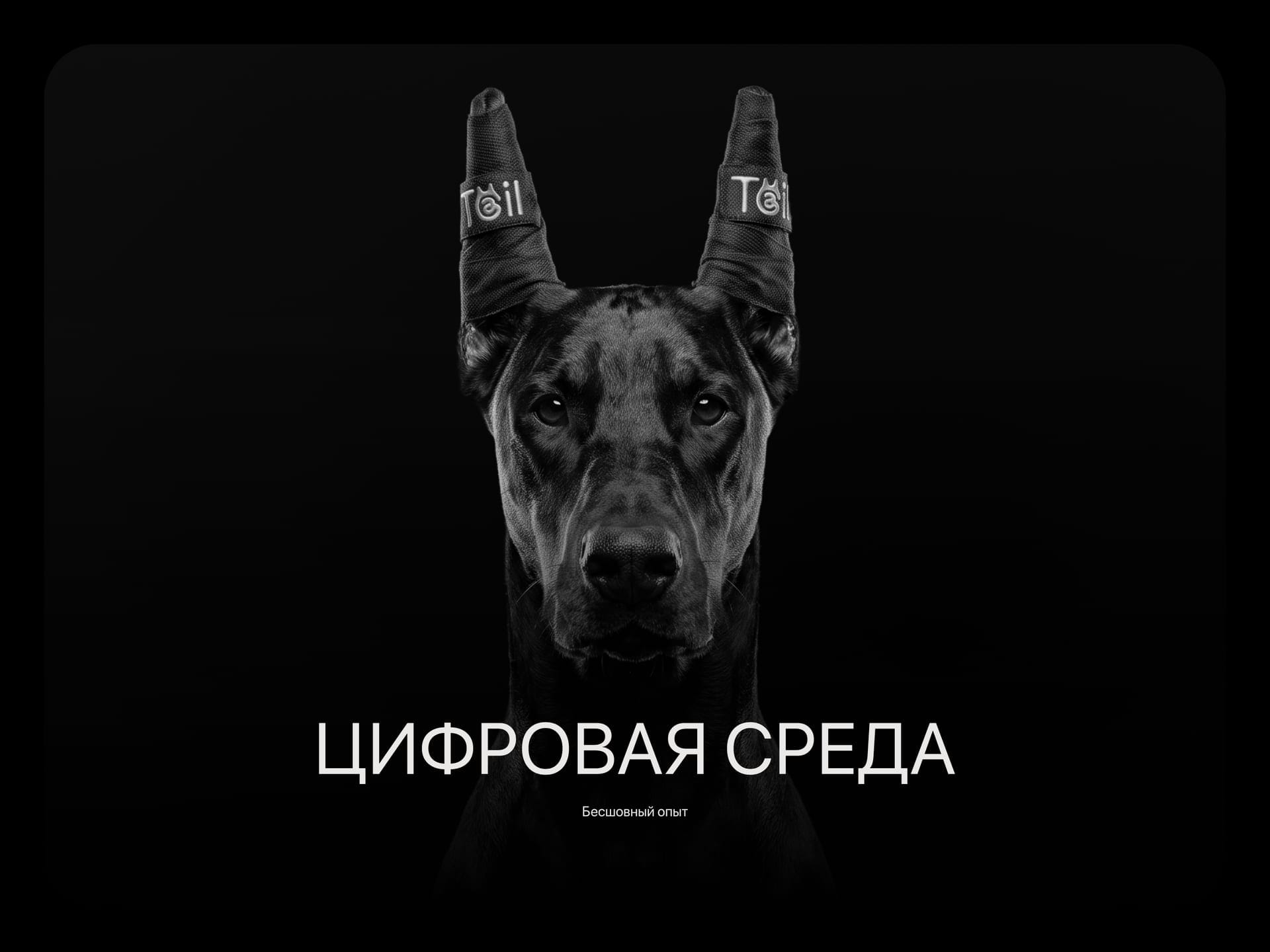 Tail: экранная система и компоненты