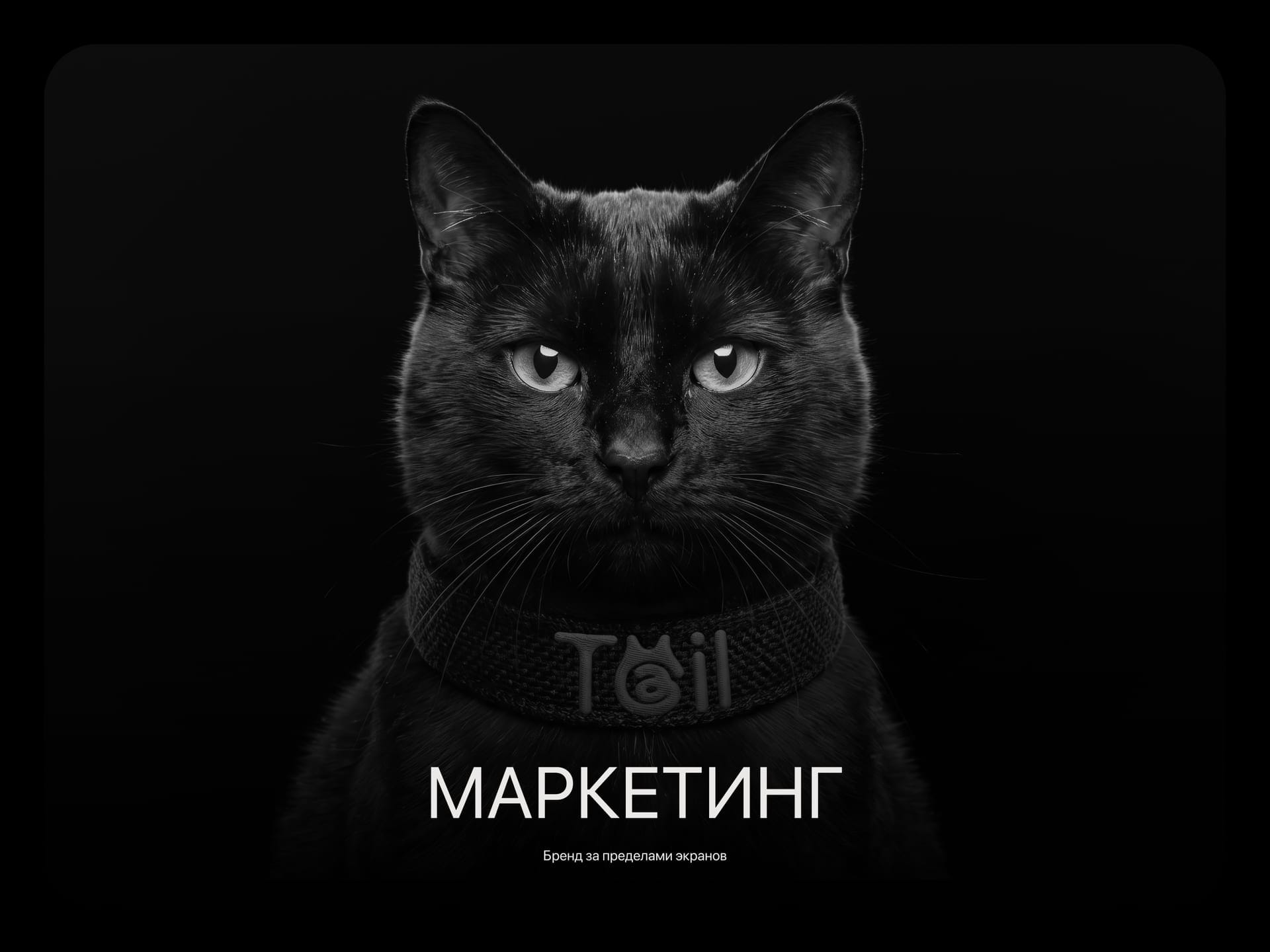 Tail: маркетинг и коммуникационные носители