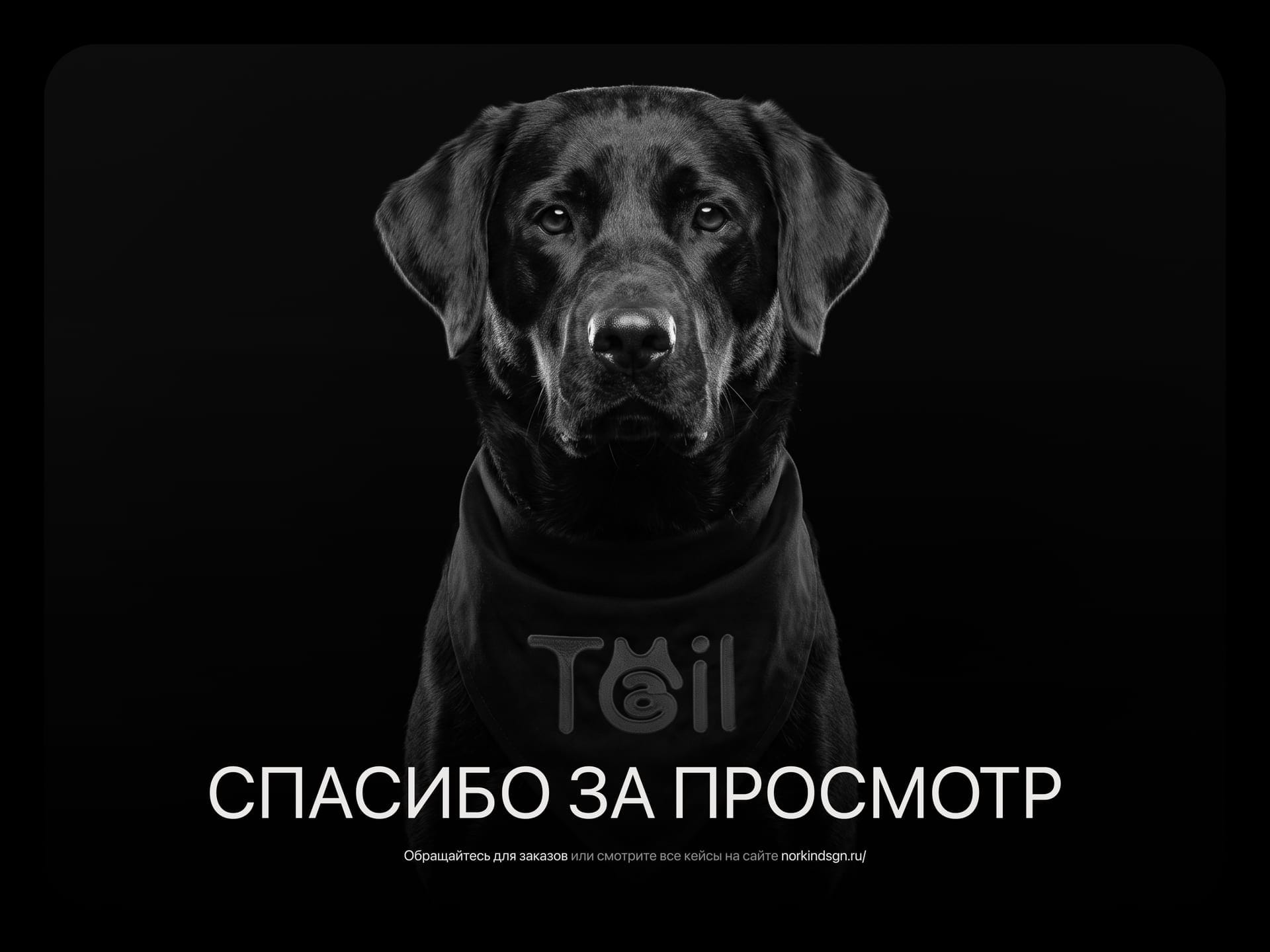 Tail: финальный экран study case